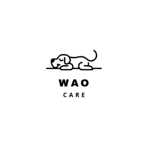 訪問介護事業を開業されたお客様の声《WAOケア様》