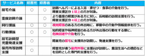 03訪問同行系の障害福祉サービス