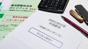 会社を設立、または事業を運営する中で利用できる補助金制度を教えて下さい