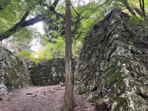 タスクマンレター2025年12月号01